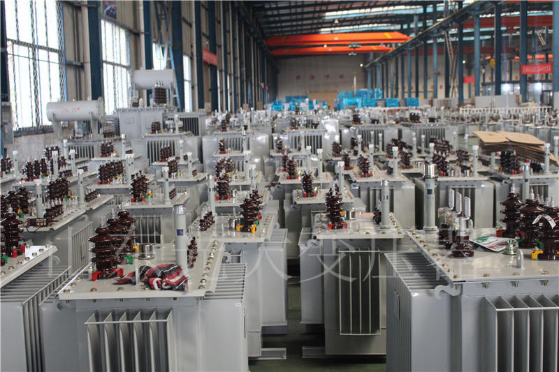 珠晖S22-800KVA/10KV